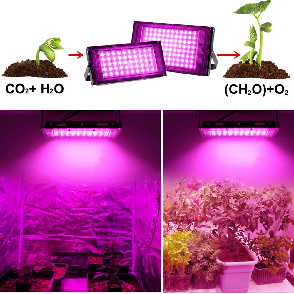 50W-200W Led Plant Grow Light Phyto Lamp Hydroponics Growing System Lamp For Indoor Greenhouse Flower Seed Grow Tent Lighting Vue