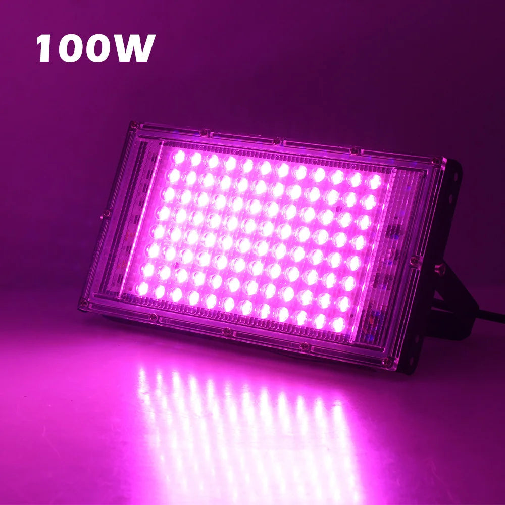 50W-200W Led Plant Grow Light Phyto Lamp Hydroponics Growing System Lamp For Indoor Greenhouse Flower Seed Grow Tent Lighting Vue