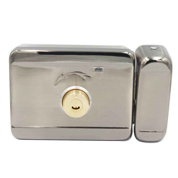 DC 12V Metal Electric Lock Gate Lock Strike Lock Access Control System Electronic Integrated Door Rim lock Vue double head lock