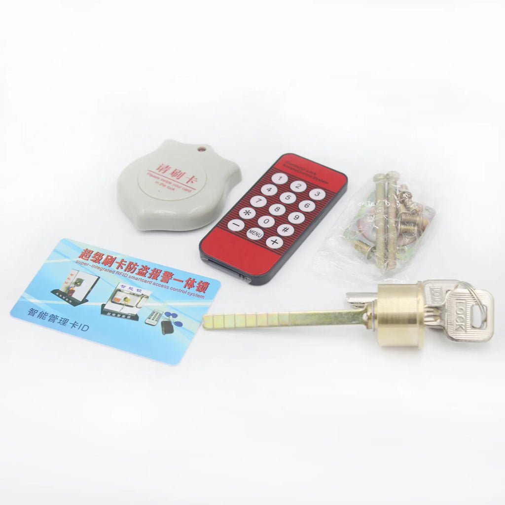 Electronic RFID Door Gate Lock, Smart Electric Strike Lock, Magnetic Induction Door Entry Access Control System, DC 12V Vue