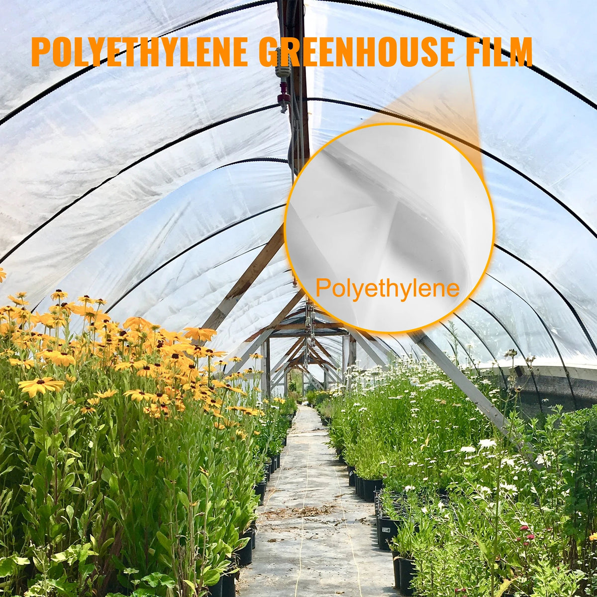 UV Resistant Greenhouse Polyethylene Film 6 Mil | Clear Plastic Cover Greenhouse Film Vue