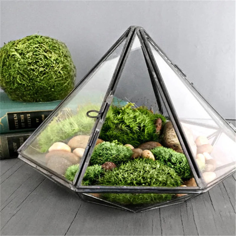 Micro Landscape Diamond shape Moss Glass Terrarium Black Geometric Glass Solder Terrarium Housing For Plants Home Decoration Vue