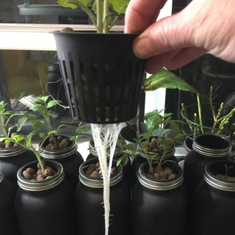 Planting Baskets Fixed Value Cups With Plant Labels Garden Plants Growing Vegetable Sprout Nursery Garden trough net cup Vue