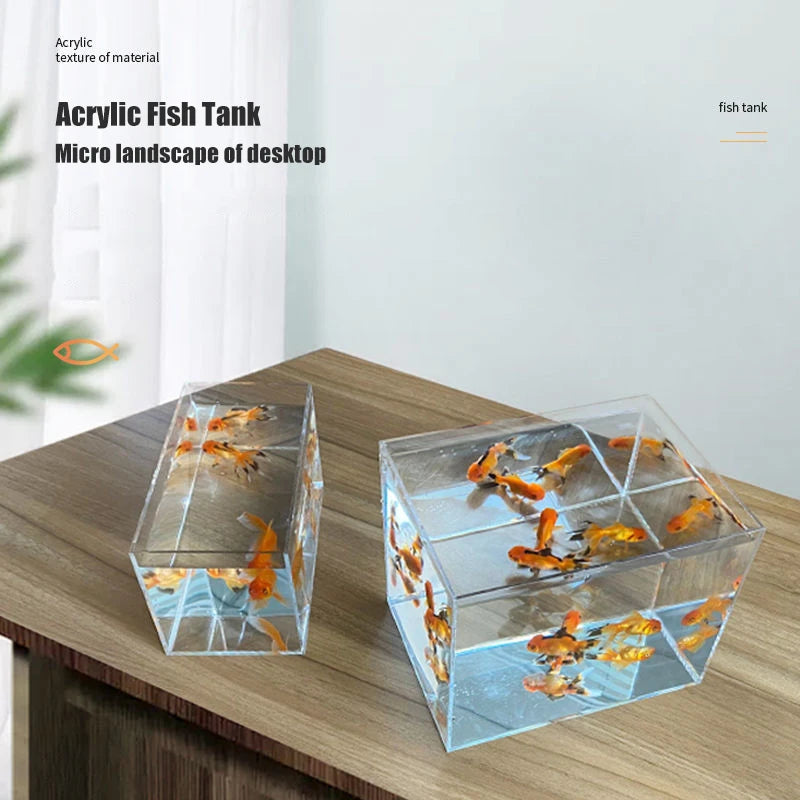 Acrylic Fish Tank Betta Fish Display Rack Multi-grid Desktop Creative Small Fish Tank Isolation Turtle Tank Miniature Landscape Vue