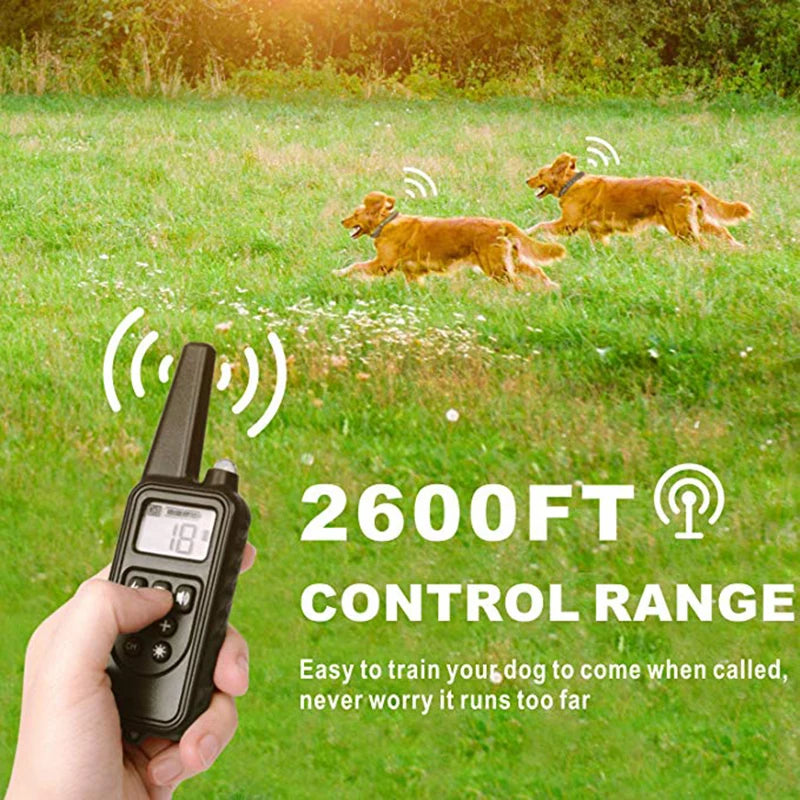 800m Electric Dog Training Collar Product Acessories with LCD Display Pet Remote Control Waterproof Rechargeable Collars Vue