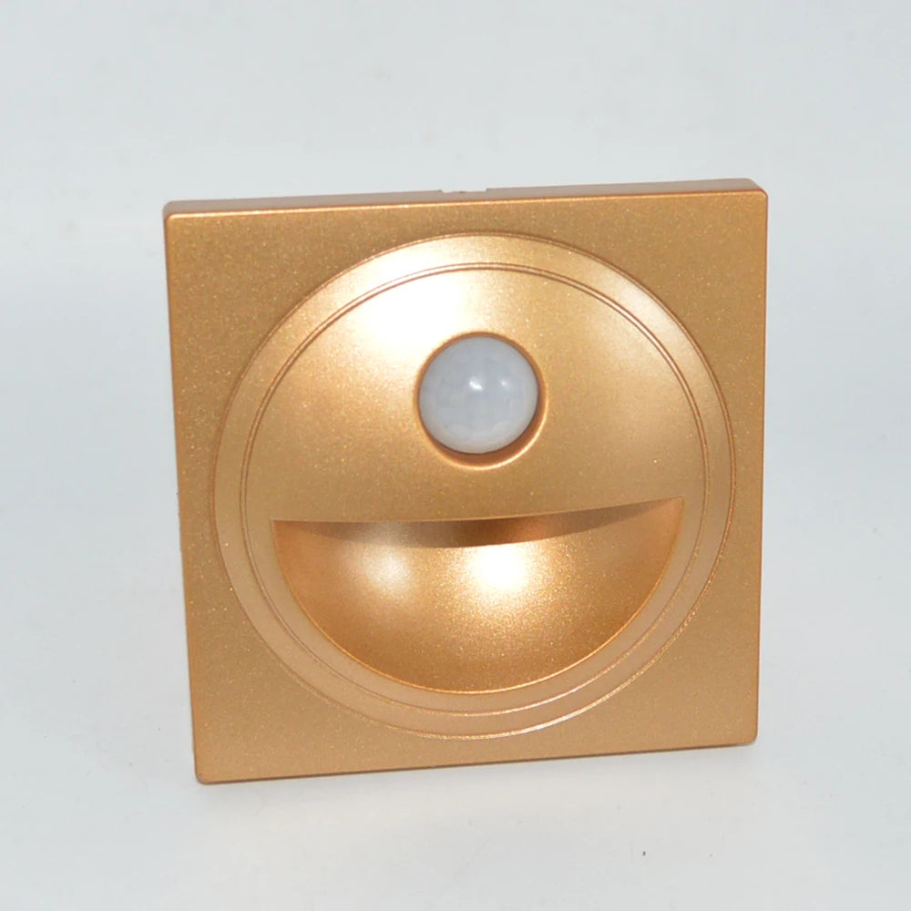 SANDIY Motion Sensor Recessed Staircase LED Wall Night Light Motion Sensor Wall Light Vue Gold Warm White (3000K) 1.5W