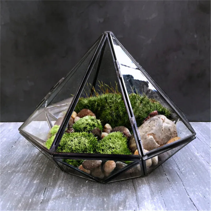 Micro Landscape Diamond shape Moss Glass Terrarium Black Geometric Glass Solder Terrarium Housing For Plants Home Decoration Vue Default Title