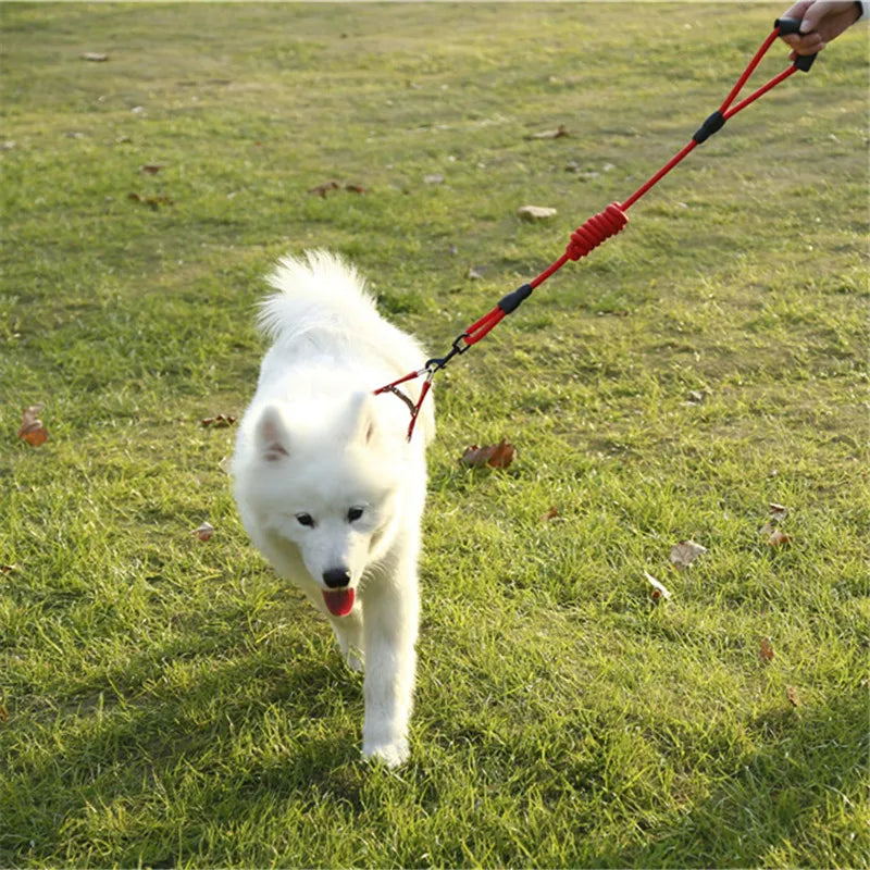 Portable Adjustable Dog leash Necktie Necklace Dogs Collar Seat Belt For Puppy Harness Cat Pet Shop Accessories Supplies set Vue