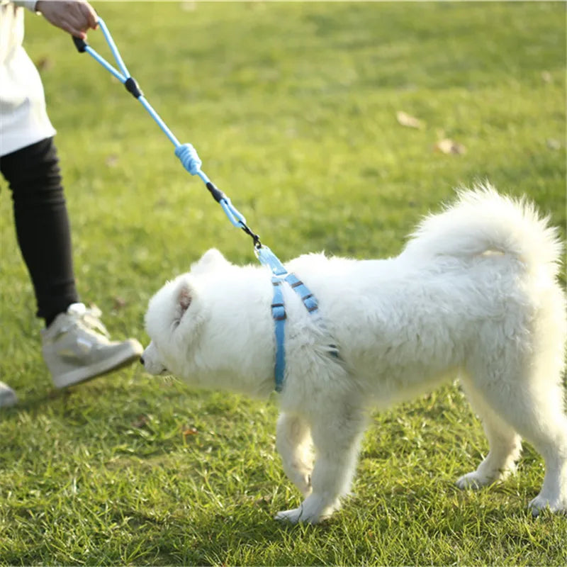 Portable Adjustable Dog leash Necktie Necklace Dogs Collar Seat Belt For Puppy Harness Cat Pet Shop Accessories Supplies set Vue