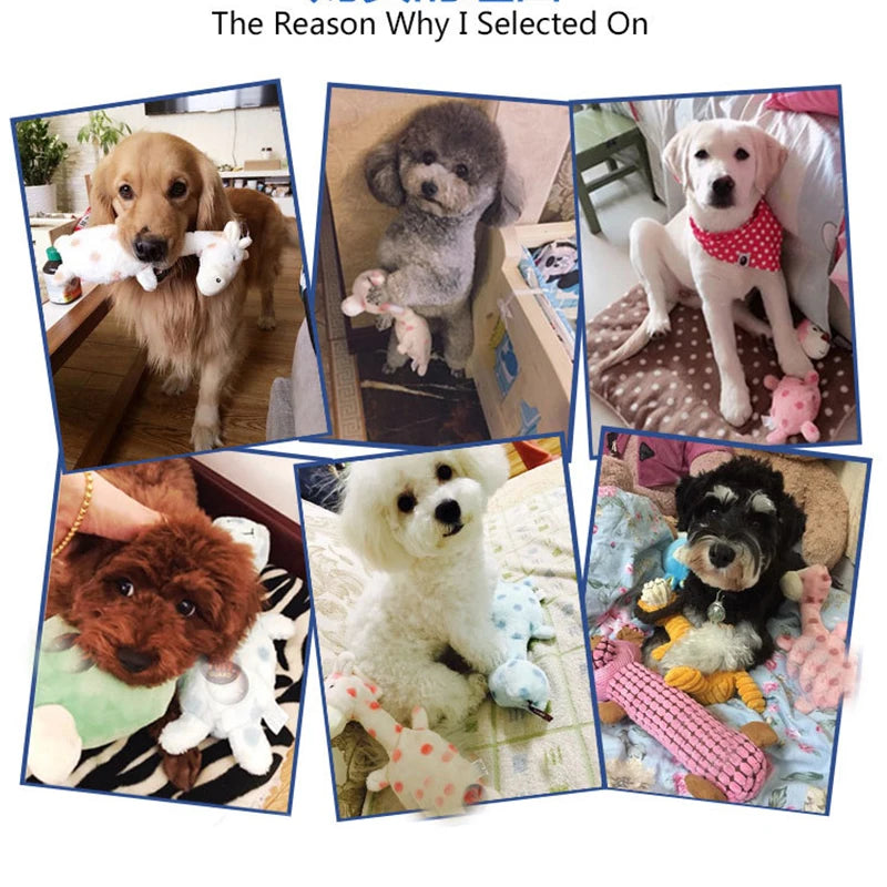 Funny Cute Solid Plush Dog Toys Puppy Cat Pet Interactive Toys For Small Or Large Dog Bite Resistant Chew Squeaker Puzzle Toys Vue