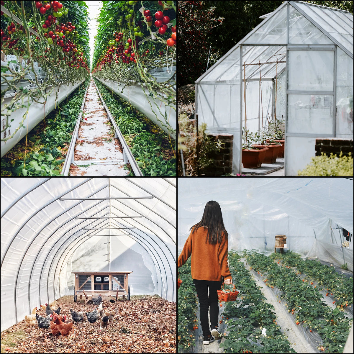 UV Resistant Greenhouse Polyethylene Film 6 Mil | Clear Plastic Cover Greenhouse Film Vue