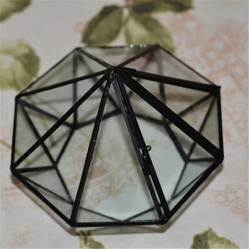 Micro Landscape Diamond shape Moss Glass Terrarium Black Geometric Glass Solder Terrarium Housing For Plants Home Decoration Vue