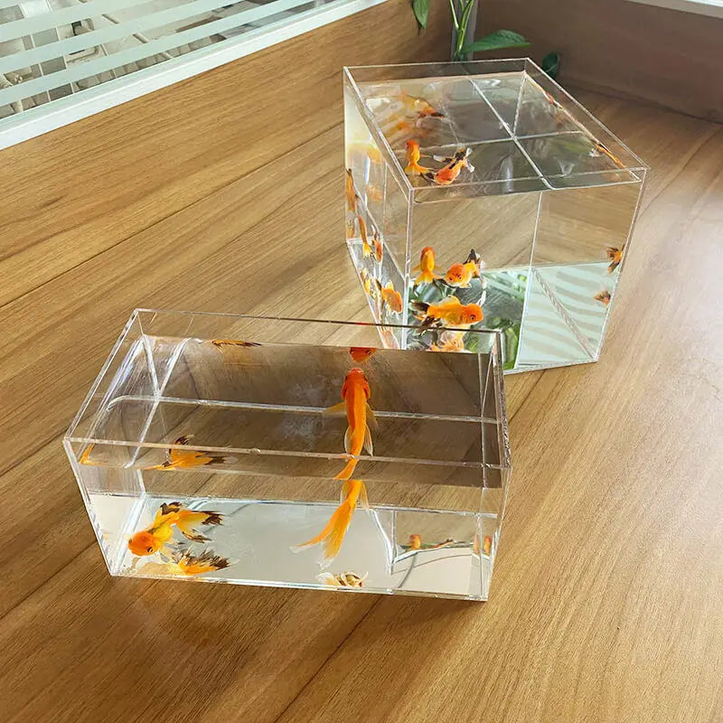 Acrylic Fish Tank Betta Fish Display Rack Multi-grid Desktop Creative Small Fish Tank Isolation Turtle Tank Miniature Landscape Vue