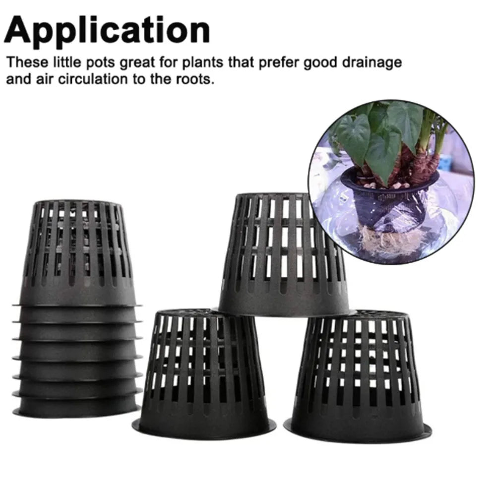Planting Baskets Fixed Value Cups With Plant Labels Garden Plants Growing Vegetable Sprout Nursery Garden trough net cup Vue