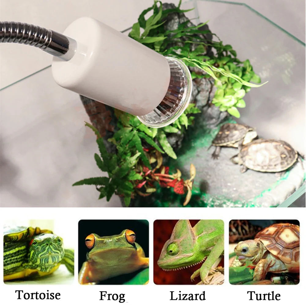 UVA+UVB 3.0 Reptile Lamp Set Clip-on Lamp Holder Bulb Thermometer Hygrometer Turtle Tortoises Lizard Sunlight Basking Heat Light Vue
