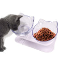 Cat Bowls Pet Feeding Bowl Cat Water Bowl Durable Fall Resistant 15 Degree Tilt Double Cat Food Bowl Vue Default Title
