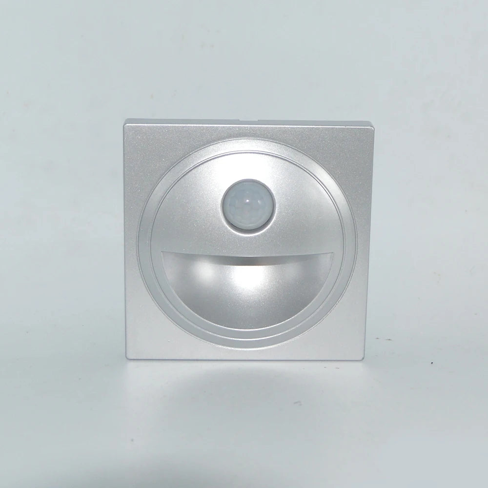 SANDIY Motion Sensor Recessed Staircase LED Wall Night Light Motion Sensor Wall Light Vue