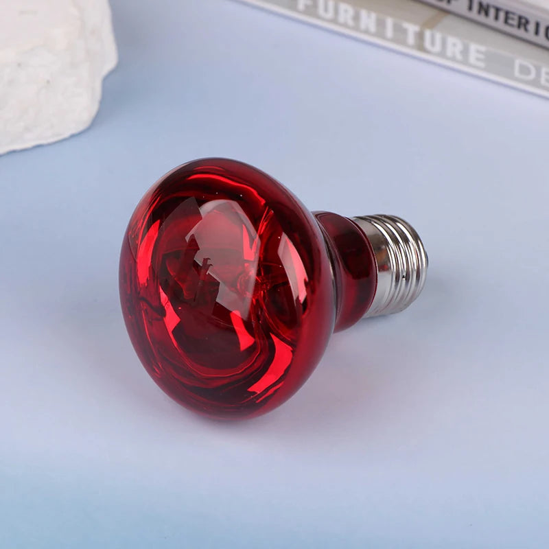 25/40/50/60/75/100W E27 UVA Poultry Bulb Infrared Night Light Day Poultry Heating Bulb For Plants Amphibians Reptile Pets Vue