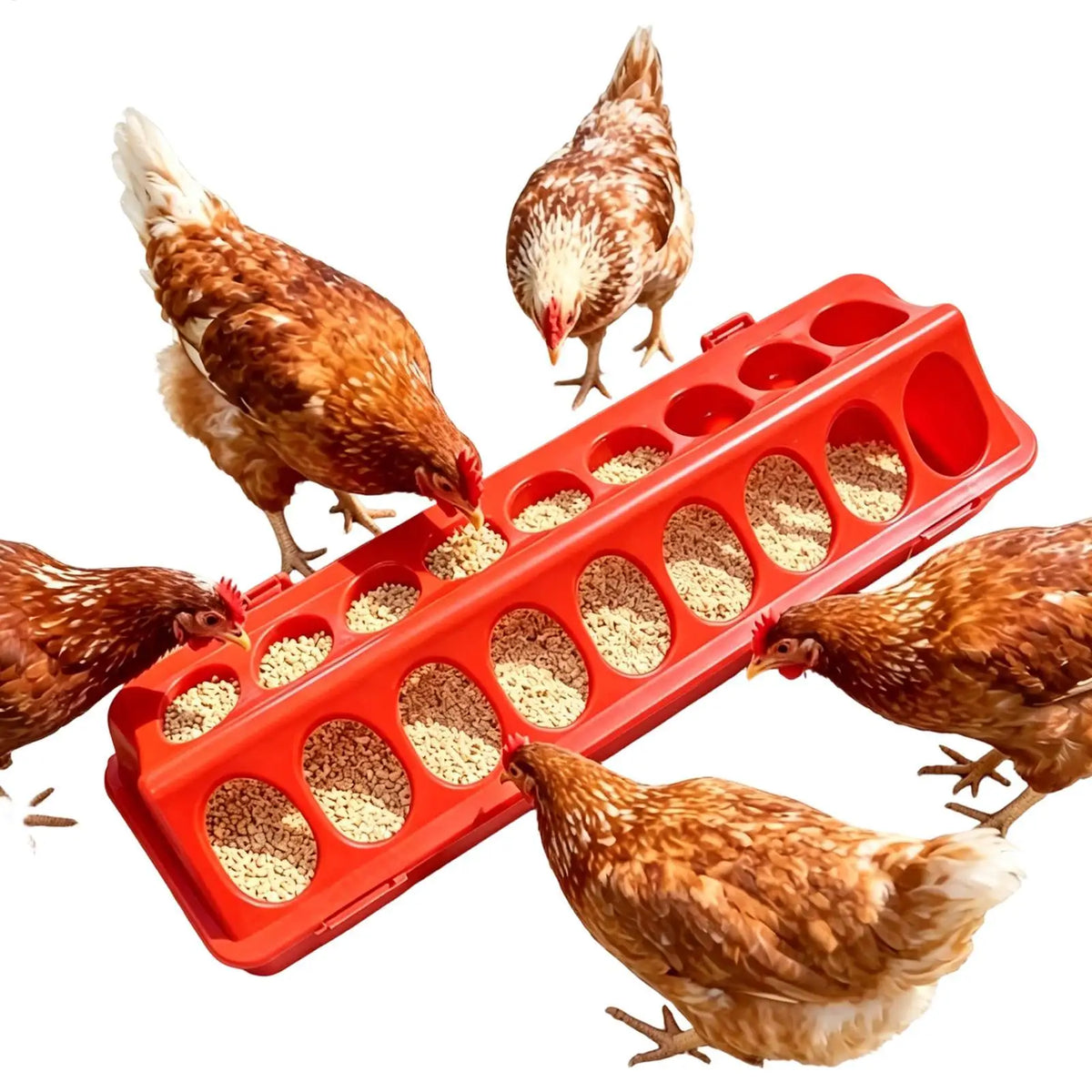 18 holes Multi-bird Feeding Trough Anti-Leak Easy-Fill Animals Bowl Chicken Feeder Drinker for Chicks Ducklings Goslings Quail Vue