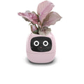 Tuya Smart Pet Planter Robot Adorable Plant Companion Smart Planter 7 Smart Sensors Time/Date/Luminance/Moisture Display Planter Vue Pink