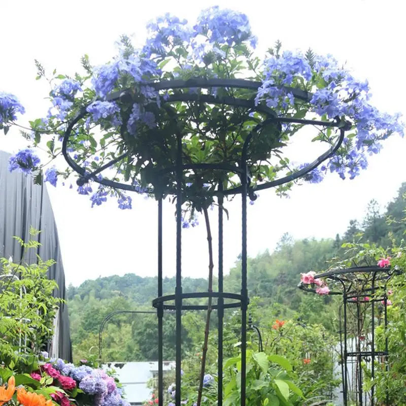 Semicircle Plant Trellis Stakes for Climbing Plants 90–210cm Plant Support Trellis Vue
