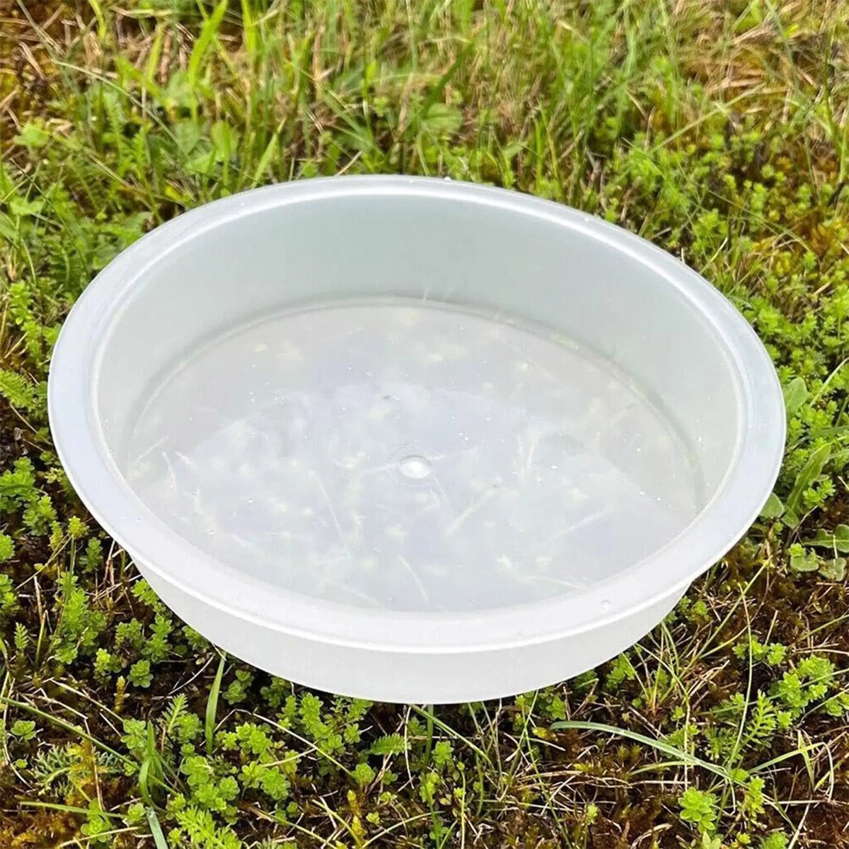 ABS Round Bird Feeder Tray Replacement, Outdoor Water Dish for Small Wild Birds, Feeding Plate for Garden, Yard, Courtyard Vue