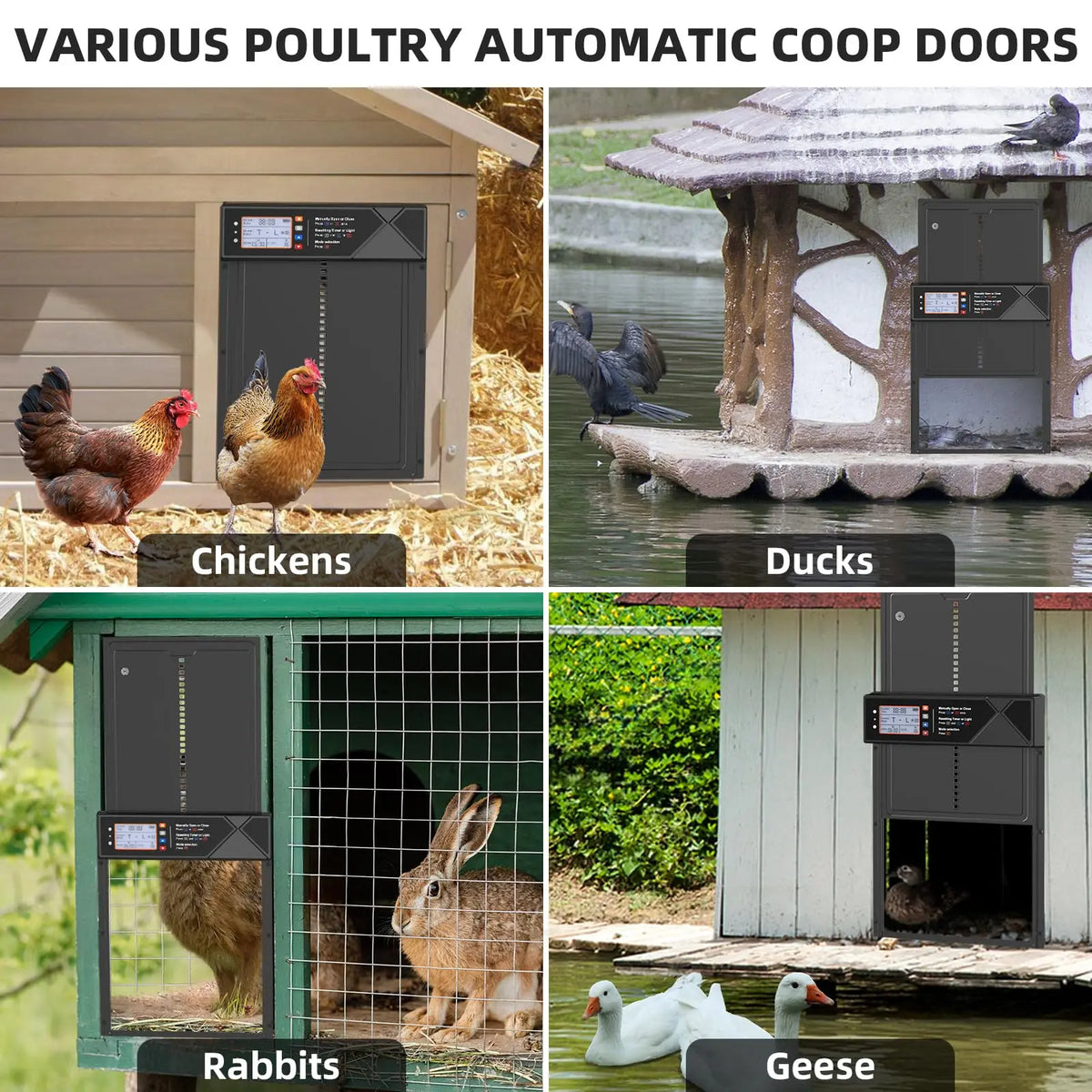Solar Automatic Chicken Door with Timer,Phone Remote Control Auto Open Close Chicken Coop Door Poultry House Door Vue