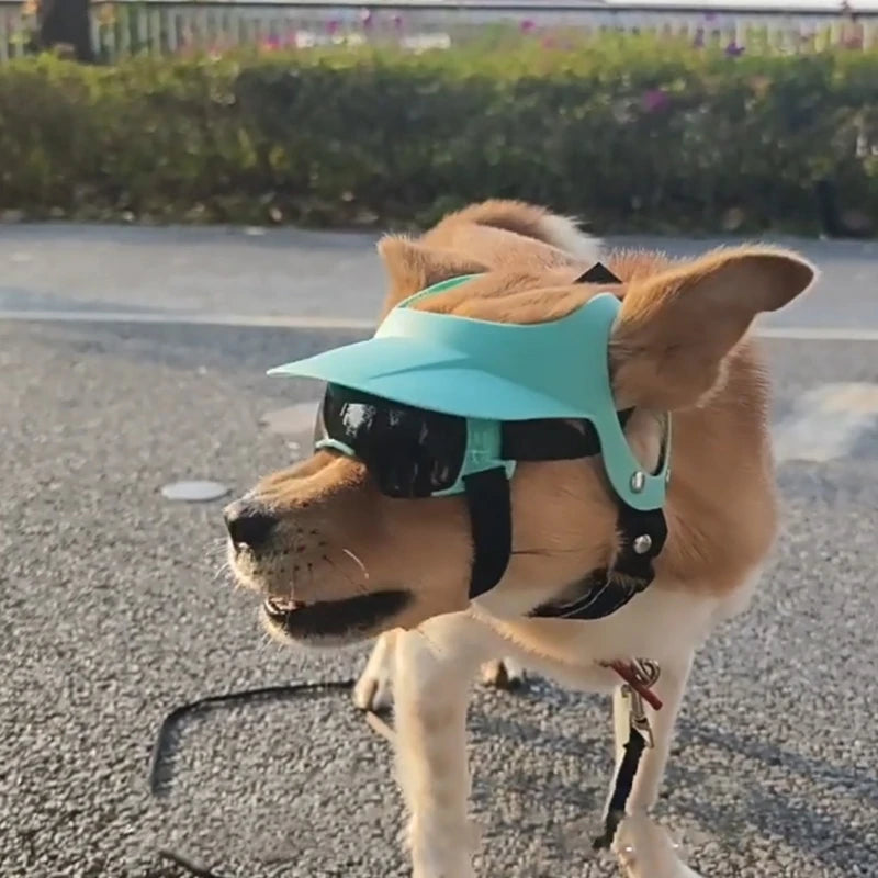 Dog Helmet & Goggles Set for Small Breeds | Adjustable Sun Hat Dog Helmet Goggles Set Vue