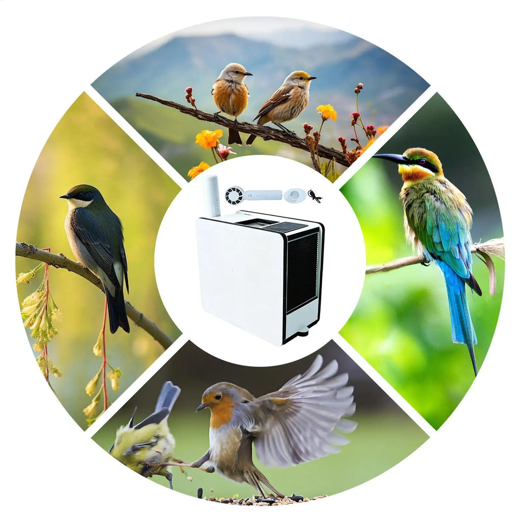 Electric Grain H usk Separator, Removable Sheller For Bird Seed, Pet Parrot Safe Eating Tool, Efficient Shell Remover Machine Vue