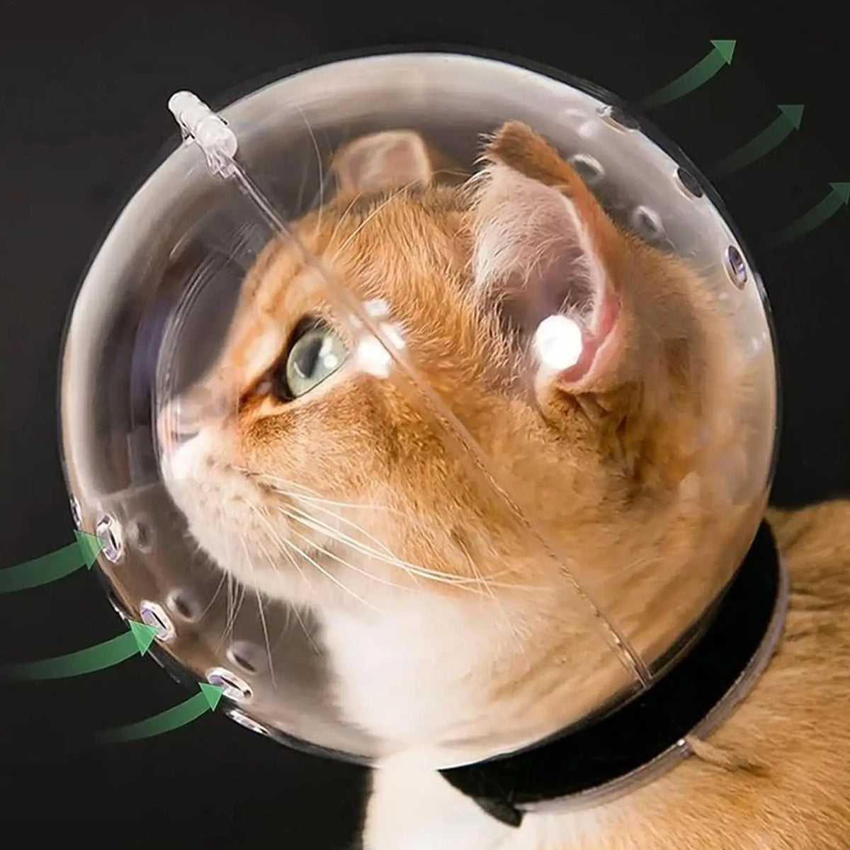 Cat Bubble Muzzle Transparent Breathable Face Cover Cat Hood for Small Dogs Bathing Shedding Nail Trimming Shower Behavior Vue