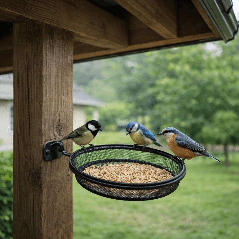 Wall Mounted Outdoor Bird Feeder Detachable Metal Mesh Bird Feeding Tray Round Large Capacity Feeding Station Balcony Vue