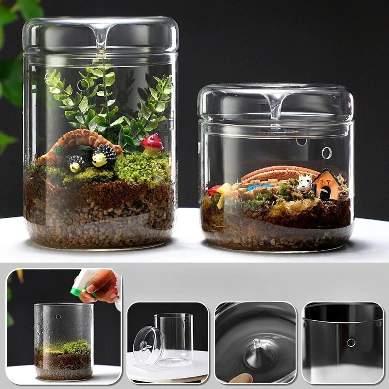 Multi-size Glass Bottle Creativity Dew Collection Glass Vase Micro Landscape Succulent Moss Landscape Glass Terrarium Home Decor Vue