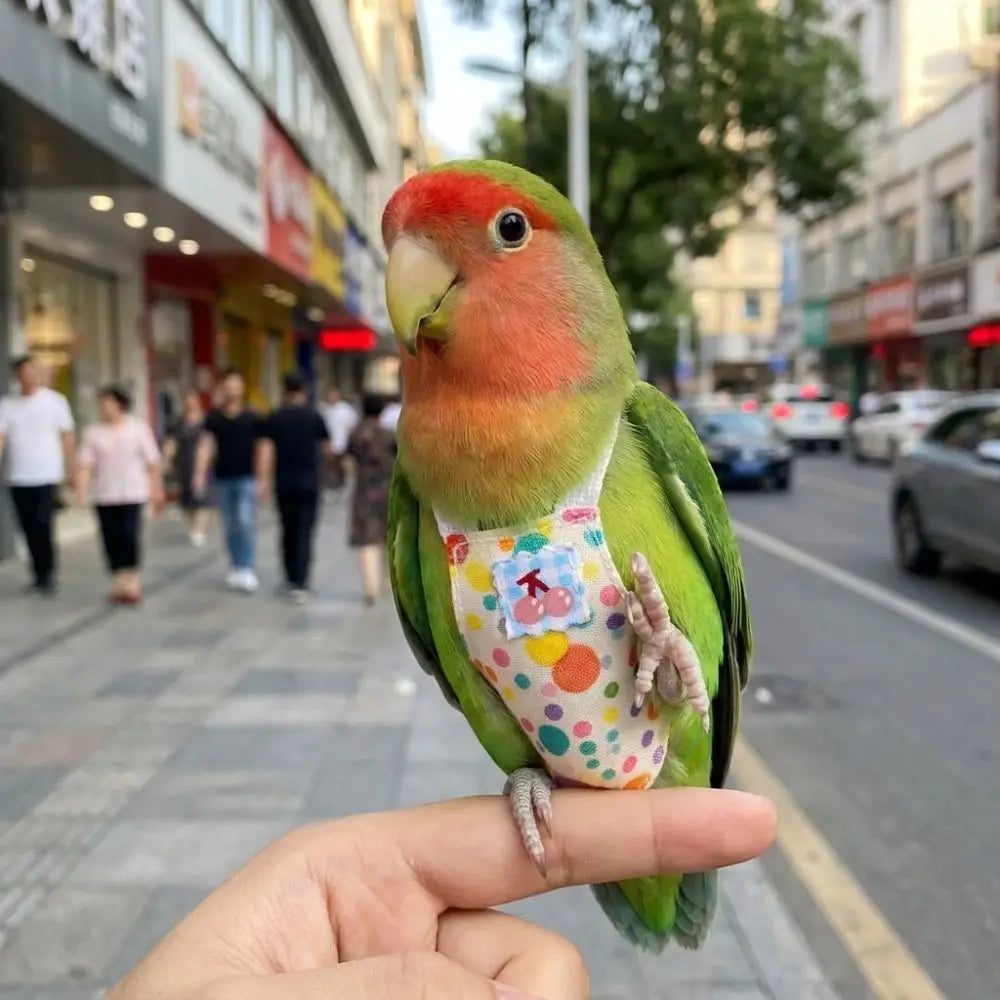 Breathable Parrot Flight Suit Anti-Bite Polka Dot Print Parrot Diaper Colorful Adjustable Outdoor Bird Clothes Keep Birds Clean Vue