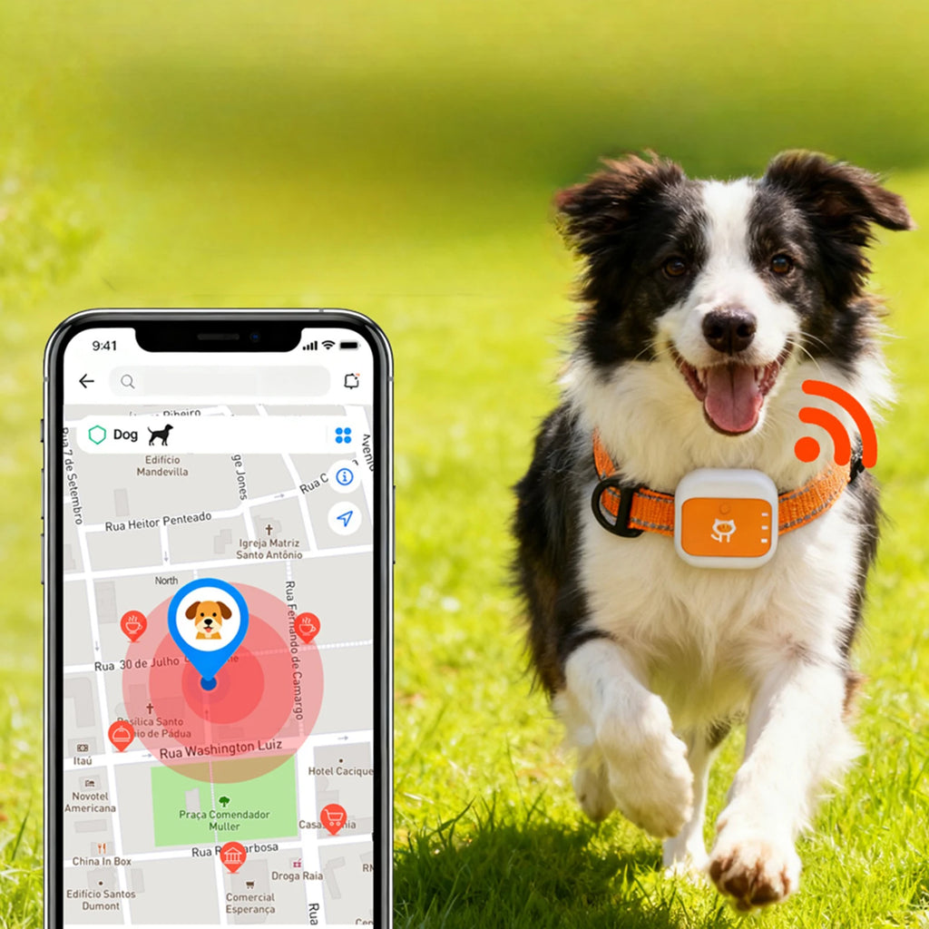 4G LTE GPS Pet Tracker for Cats & Small Dogs | Real-Time GPS Pet Tracker Vue