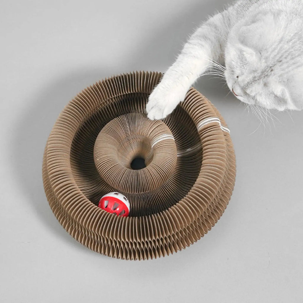 Magic Organ Cat Scratching Board Interactive Cat Toy with Ball Scalable Round Corrugated Cat Scratcher Toy Kitten Game Supplies Vue