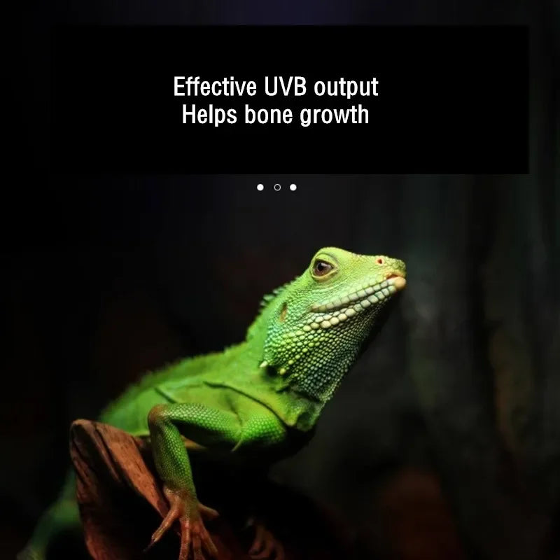 3 in1 Reptile UVA+UVB Lamp Bulb 5.0/10.0 Full Spectrum Turtle Basking UV Light Lizards Heating Lamp Temperature Controller Vue