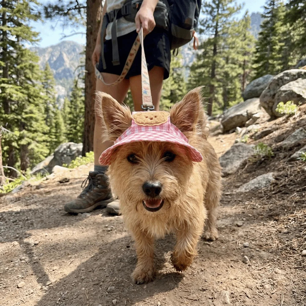 Cartoon Pattern Dog Fisherman Hat Breathable Plaid Print Cat Sunscreen Hat Adjustable with Ears Hole Dog Visor Hats Outdoor Vue