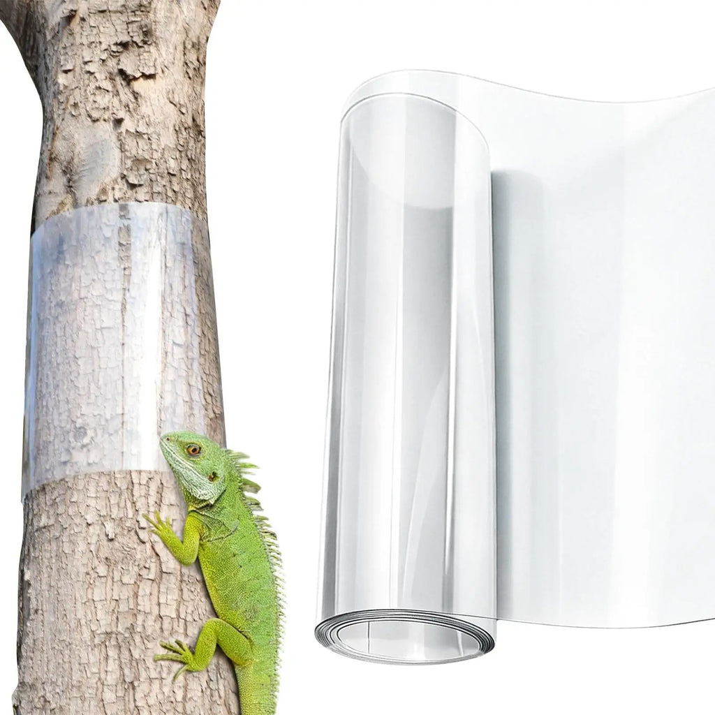 Premium Durable Sturdy Heavy Duty Waterproof Transparent Squirrel Baffle for Bird Feeder Outside Backyard Garden Outdoor Yard Vue