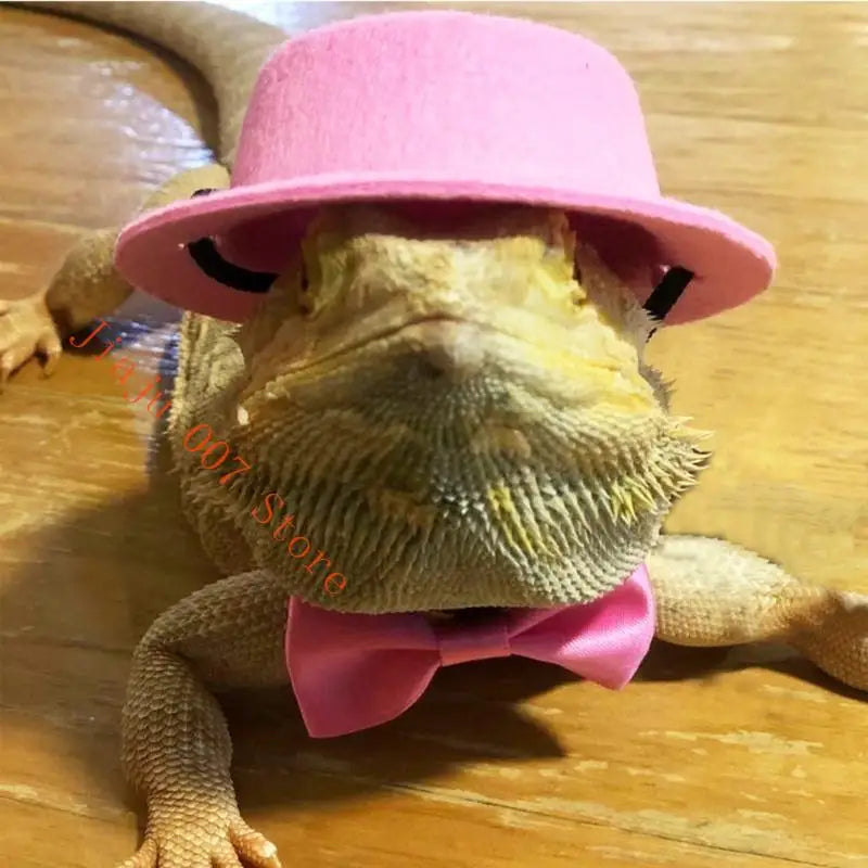 Bearded Dragon Harness Leash & Costume Set – Hat & Bow Tie Reptile Costume Set Vue