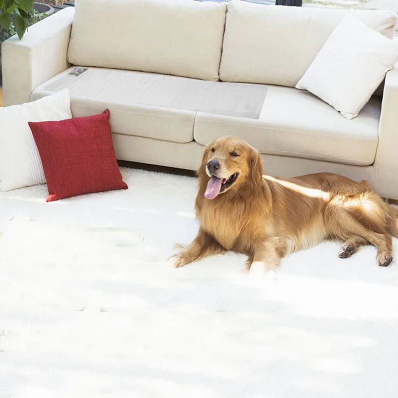 Pet Training Mat Electrostatic Isolation Blanket Cat Dog Repellent Pad Prevent Pets Damage Protected Areas Pet Barrier Mat Vue