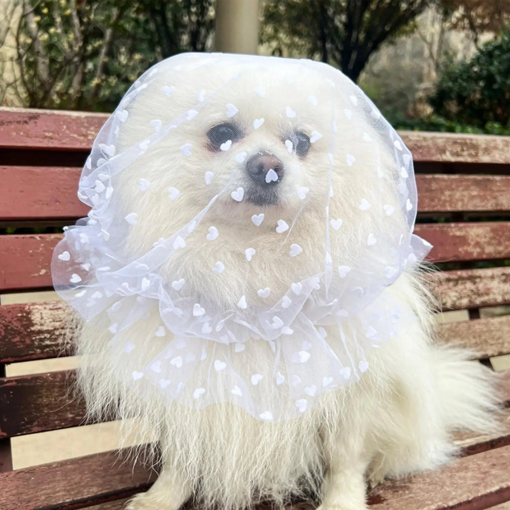 4Pcs Anti Pickup Dog Mesh Head Cover Adjustable Net for Puppy Cat Outdoor Walk Indoor Home Pet Training Scavenging Guard Vue