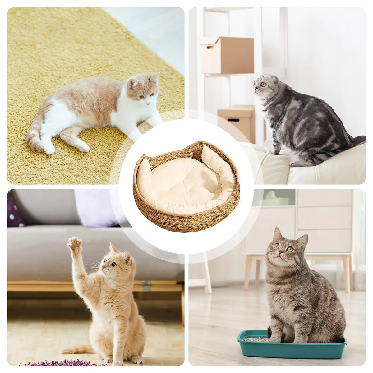 35x13cm Round Cotton Rope Cat Bed, All Season Woven Pet Sleeping Basket with Pillow, Comfortable Kitten Resting Nest for Home Vue