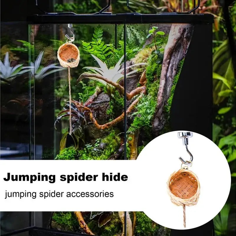 Natural Pet Spider Shelter House Jumping Spider Hideout Enclosure Small Animal Cage Decoration Handmade Spider Habitat Accessory Vue