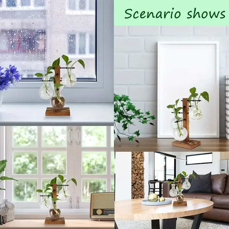 Hydroponic Plant Glass Vase, Modern Desktop Plant Terrarium Planter Bulb Water Planting Propagation Planters Hydroponics Plants Vue