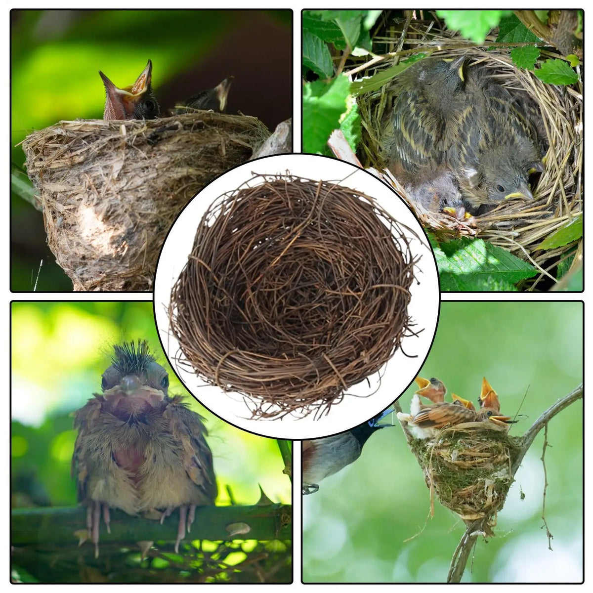 10cm Flat Base Bird Nest Handmade Woven Hatch House for Cage Small Animal Bed Accessories for Parakeet Canary Finch Lovebird Vue