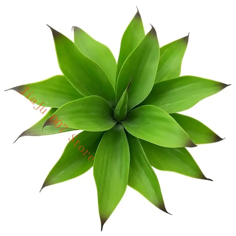 Large Artificial Agave Succulent – Autumn Faux Plant for Home & Office Artificial Succulent Plant Vue