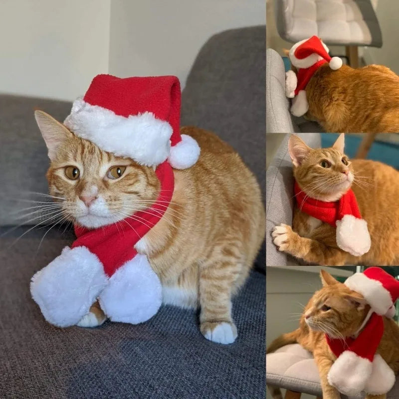 1-10PC Pet Christmas Hat and Scarf Set Adjustable Soft Outfit Holiday Costume for Cats and Small Dogs Party Dress Up Accessories Vue