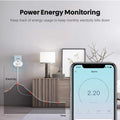 Tuya App Remote Control Smart WiFi Plug 16A Voice Control Timing Switch Smart Socket Wireless Remote Control Plug Smart Life Vue Default Title