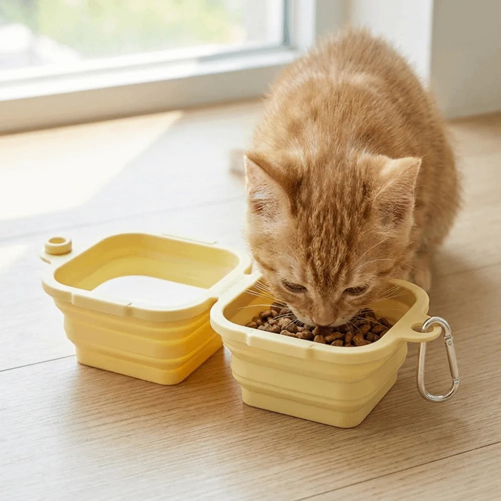 2-in-1 Silicone Folding Pet Bowl Leakproof Dual Bowl Cat Water Bowl Large Capacity Thickened Feeder Bowls Dog Feeding Vue