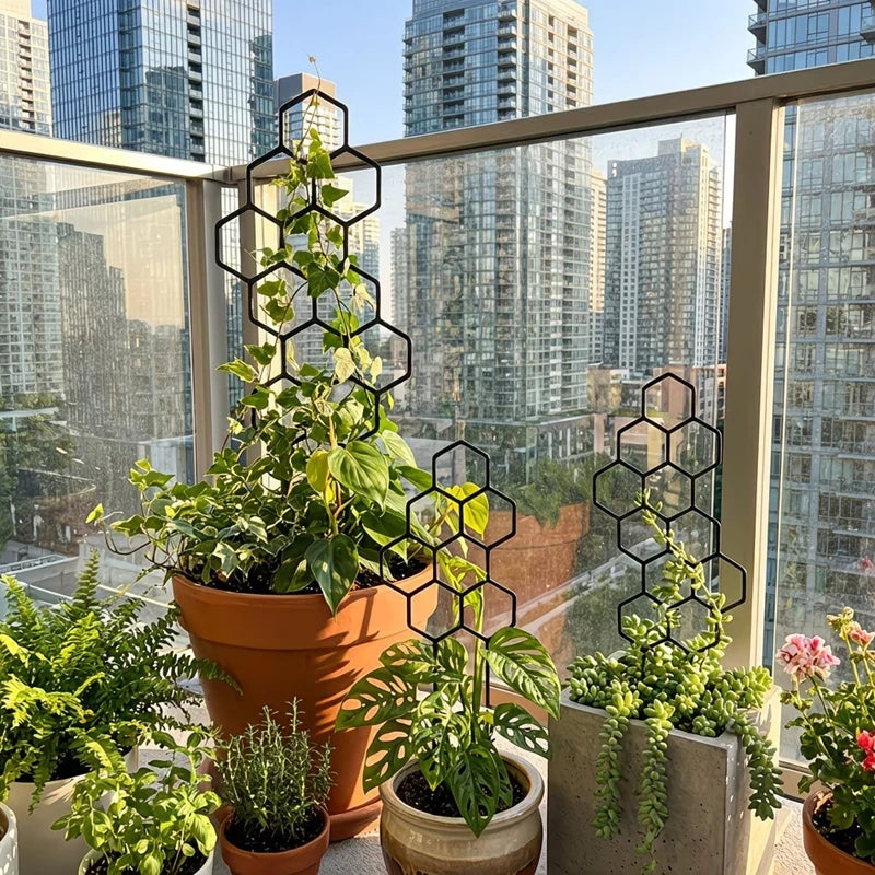 Honeycomb Plant Trellis – Climbing Support Stake for Monstera Plant Support Trellis Vue